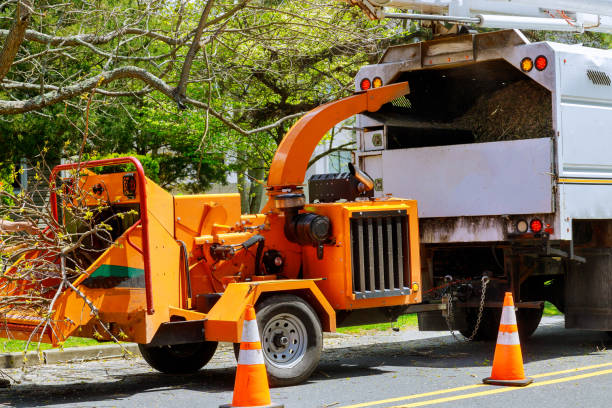 Best Seasonal Cleanup (Spring/Fall)  in , NY